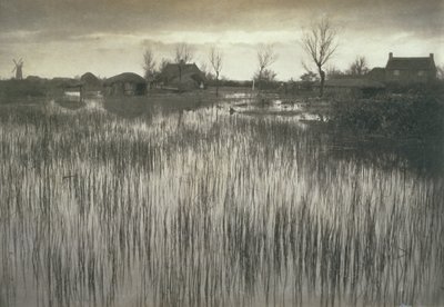 Una orilla con juncos, Vida y paisaje en los Norfolk Broads, c.1886 de Peter Emerson und Thomas Goodall